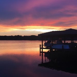 Meet your Posher, Charlotte